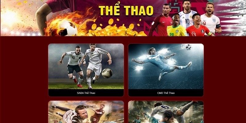 the-thao-33win-gioi-thieu