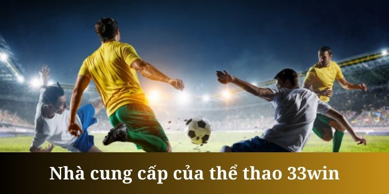 the-thao-33win-nha-cung-cap