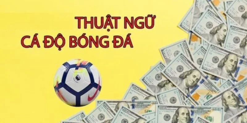 gioi-thieu-thuat-ngu-ca-do-bong-da-33win