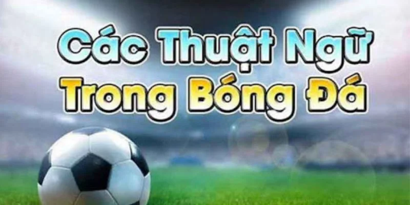 thuat-ngu-ca-do-pho-bien-trong-lang-tuc-cau